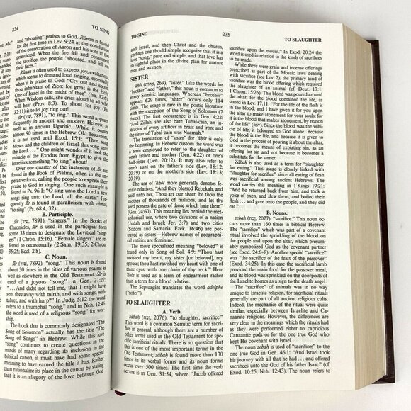 Vines Complete Expository Dictionary Of Old & New Testament Words Leather Bound - Picture 8 of 10